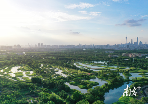 海珠湿地