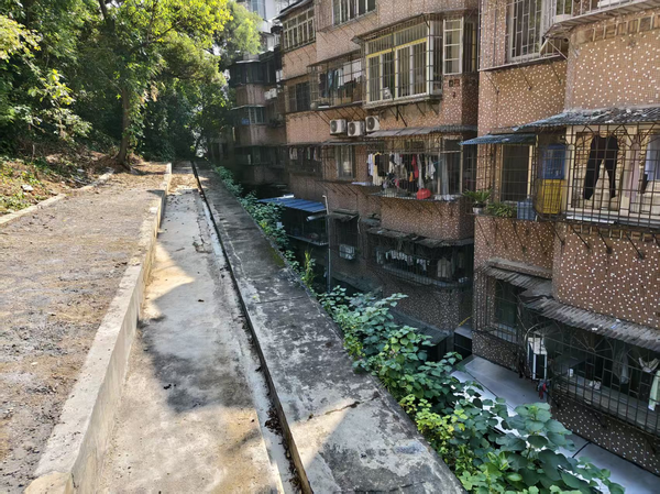 图片 1_调整大小.png