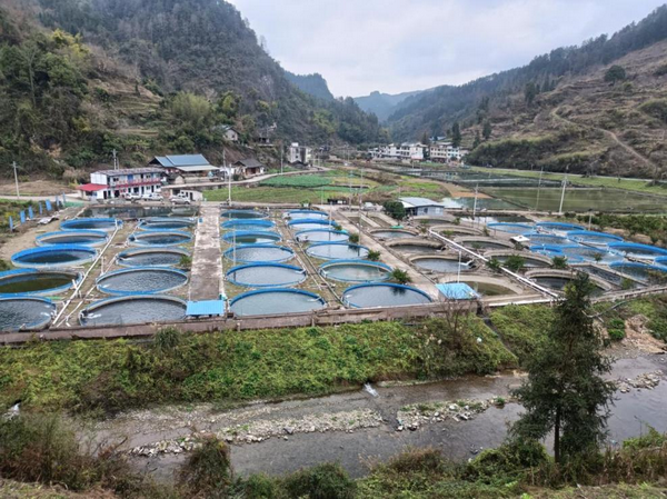 图片 1_调整大小.png